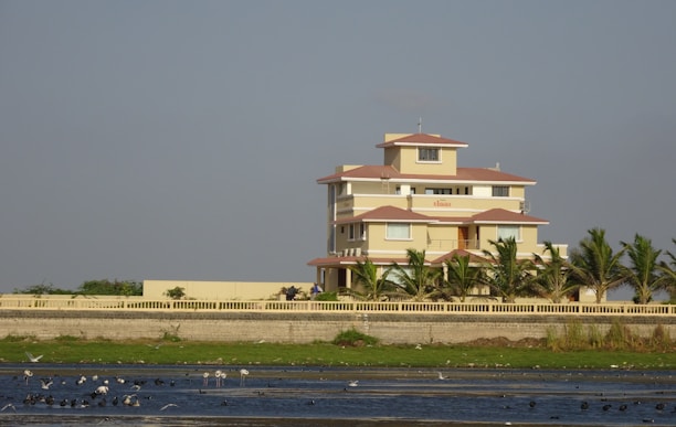 A large, three-story house with a beige exterior and red-tiled roofs stands surrounded by a row of palm trees. The house is located behind a low, cream-colored wall that borders a grassy area leading to a body of water. Numerous birds are flying and wading in the water, and the sky is clear with a light blue hue.