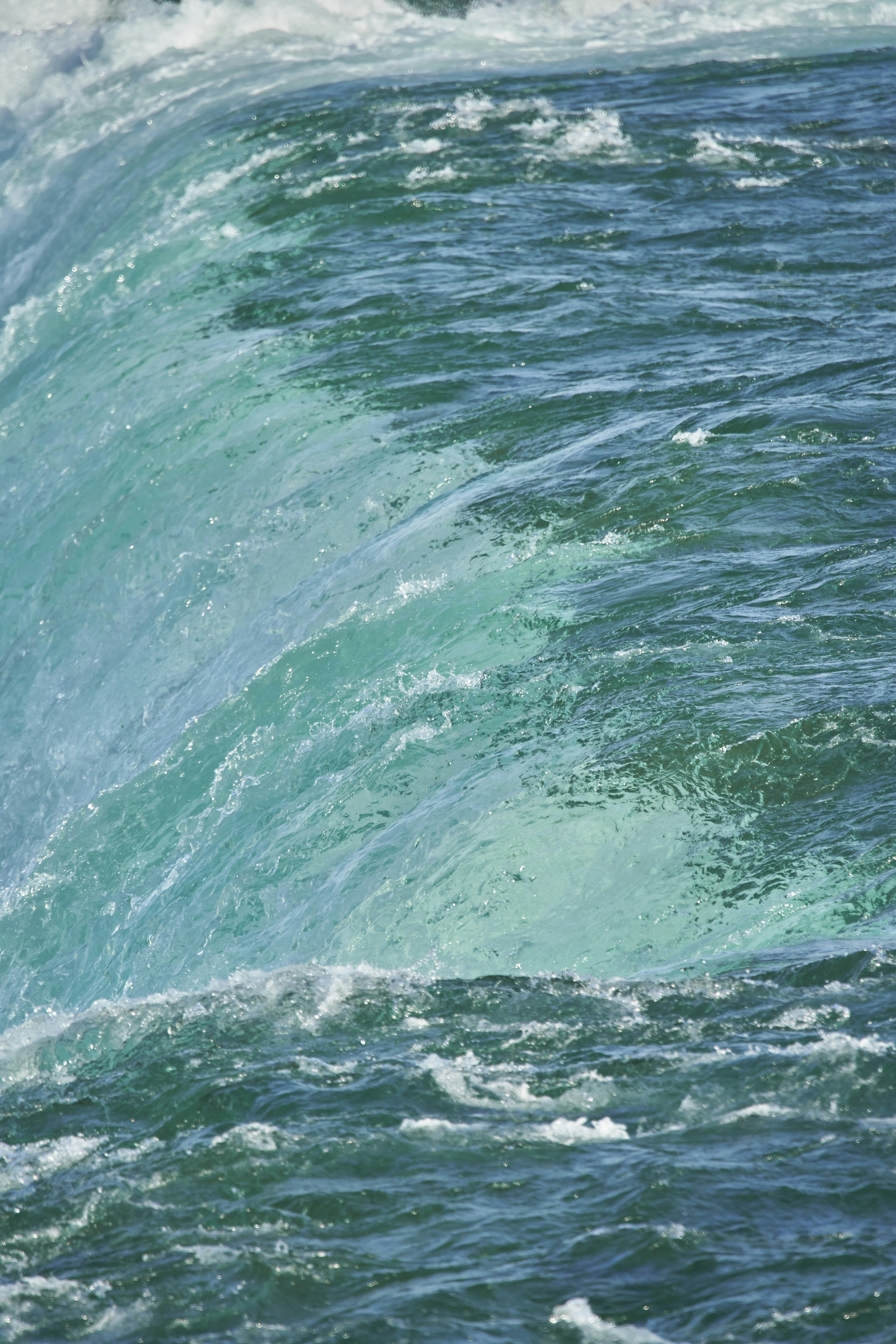 Photo by wolfgang_hasselmann