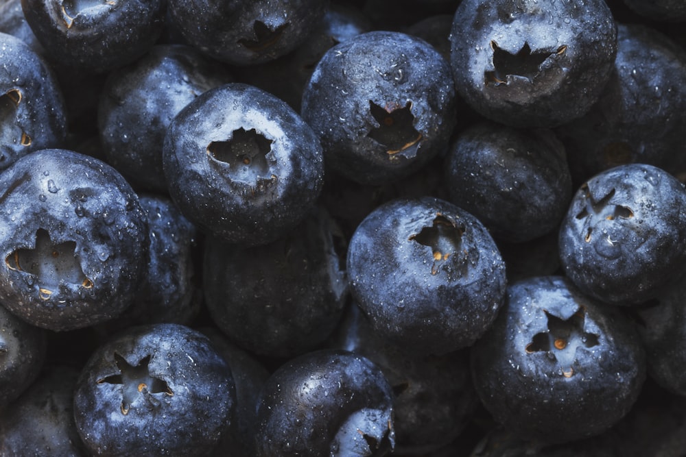 close-up photo of blue berries