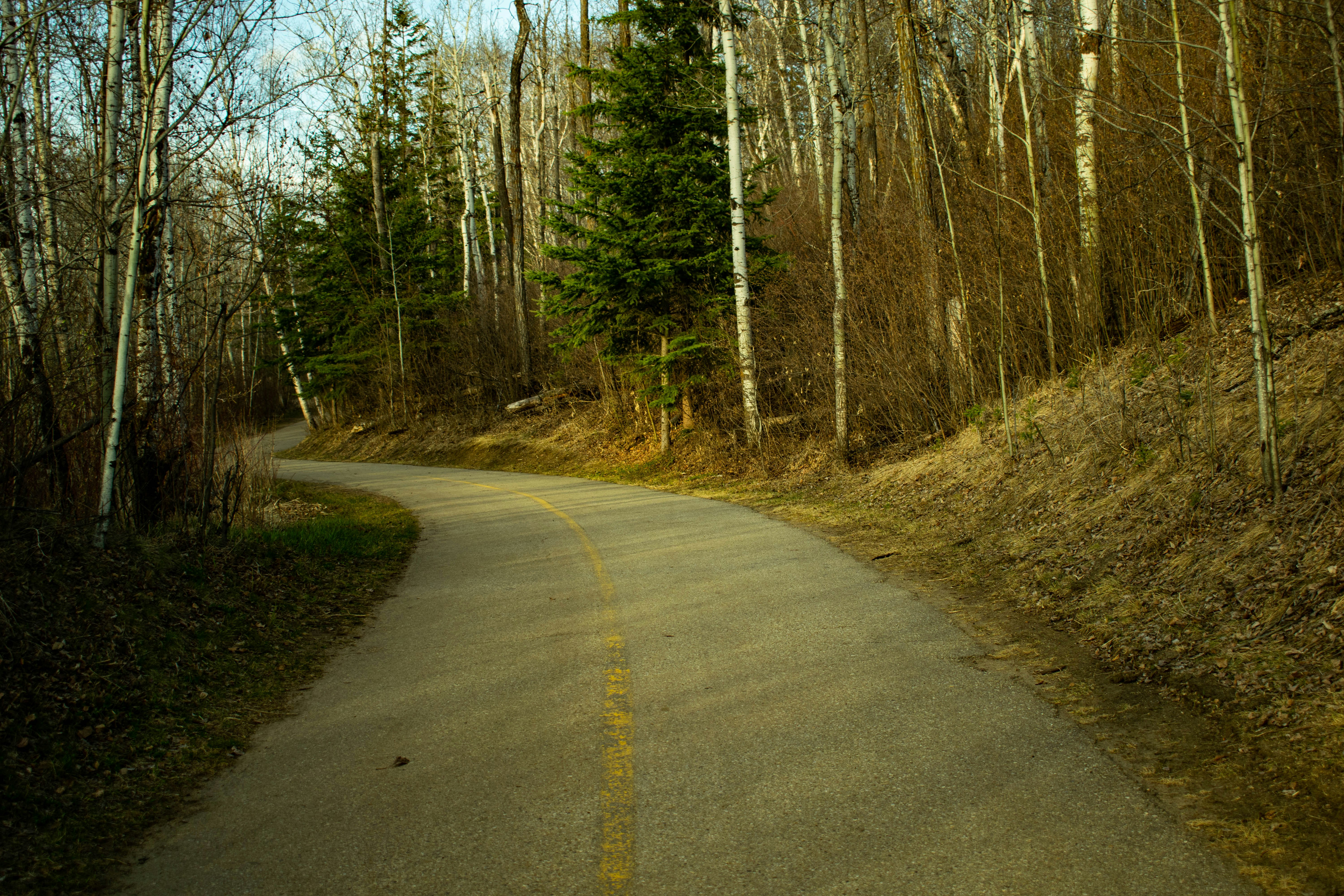 While out walking on a later spring day, I came across this path way. I loved how it was quiet, and yet intriguing. A place for walks and bikes.