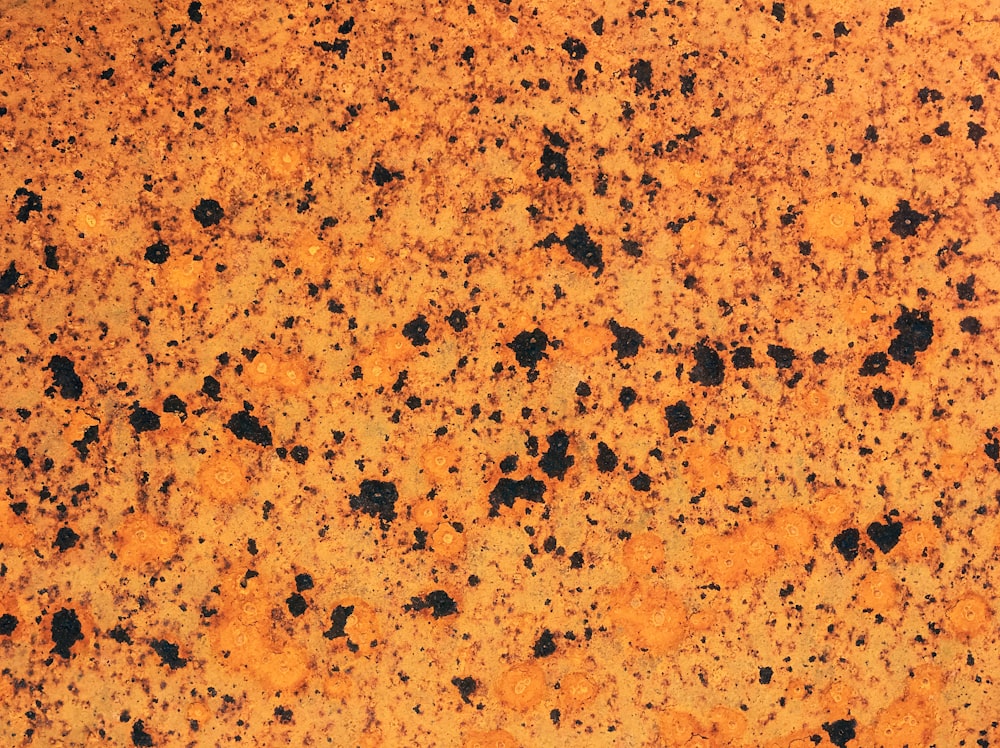 an orange and black speckled surface with black dots