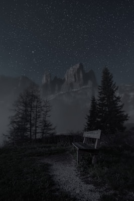 A serene night scene with a wooden bench situated on a grassy area. In the background, tall mountains are partially obscured by mist or fog, and a sky full of stars provides a celestial backdrop. Two large trees frame the bench, adding to the tranquil atmosphere.