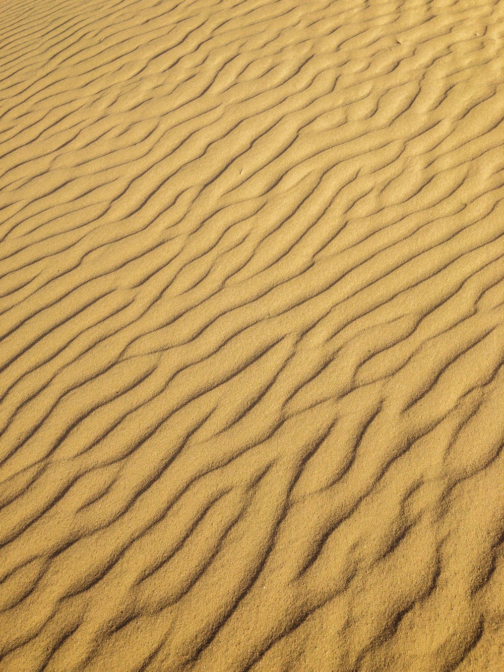 a sandy area with lines in the sand