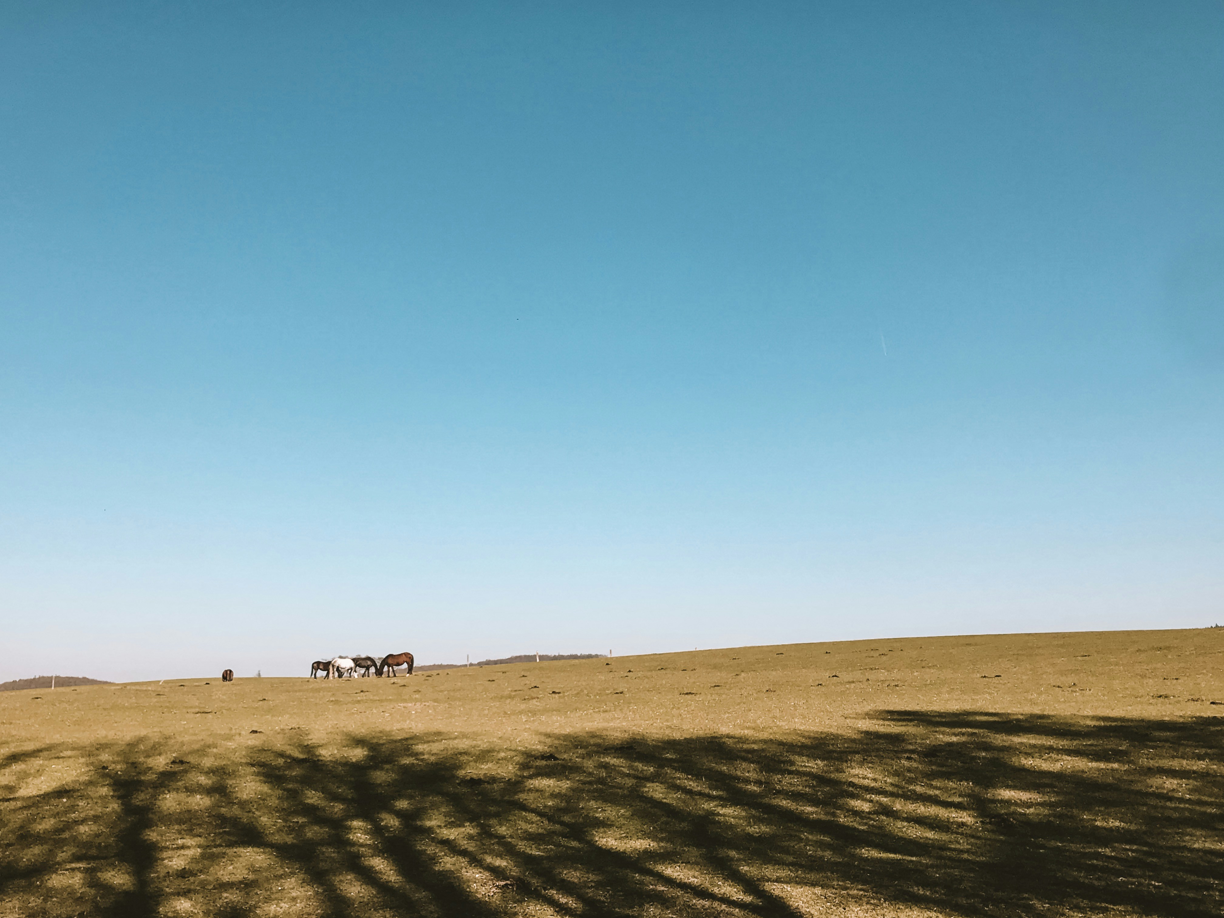 Speelnatuur van OERRR Tiengemeten