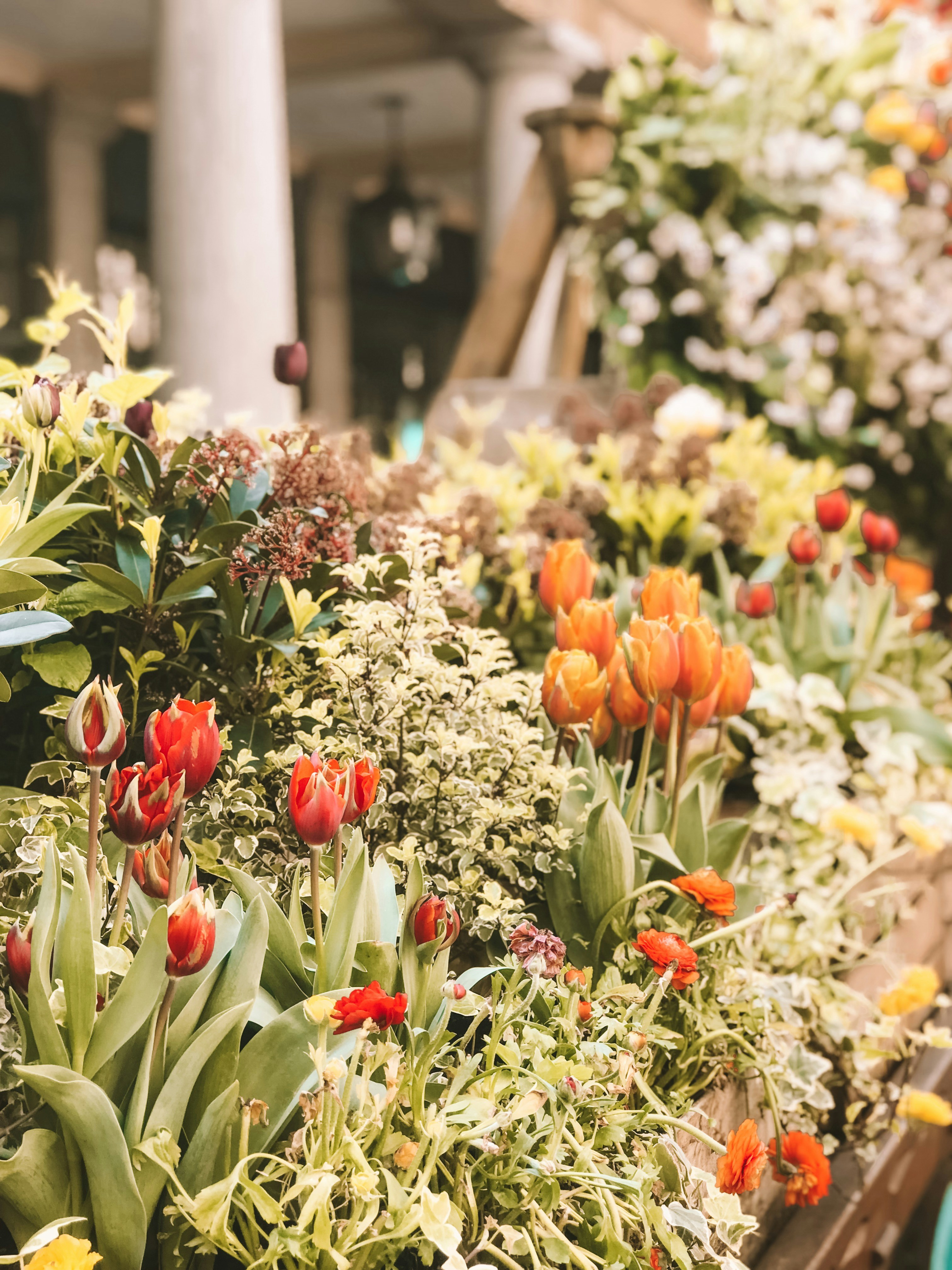 Photo by charlotablunarova