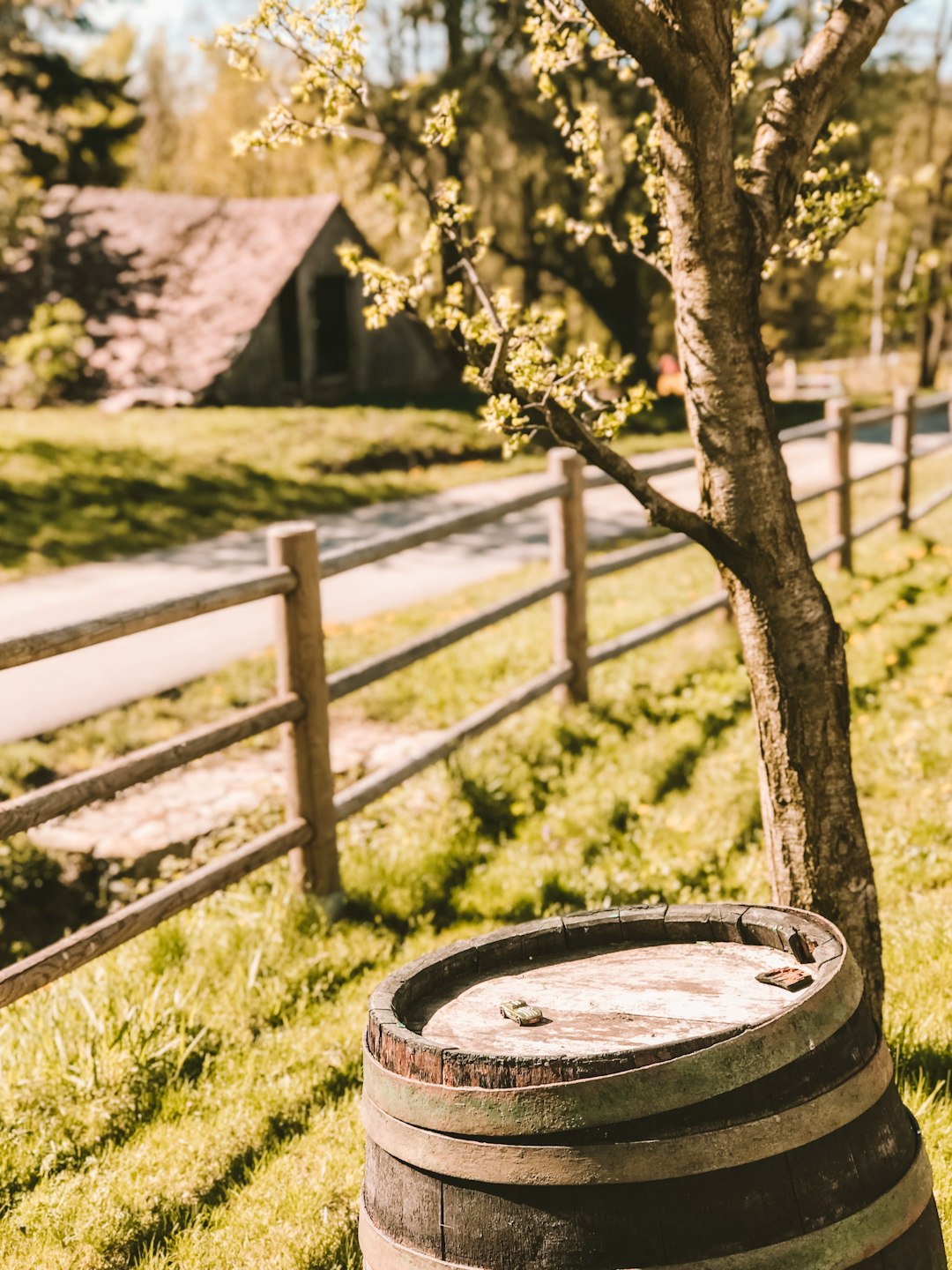 brown wooden wine barrel near fence