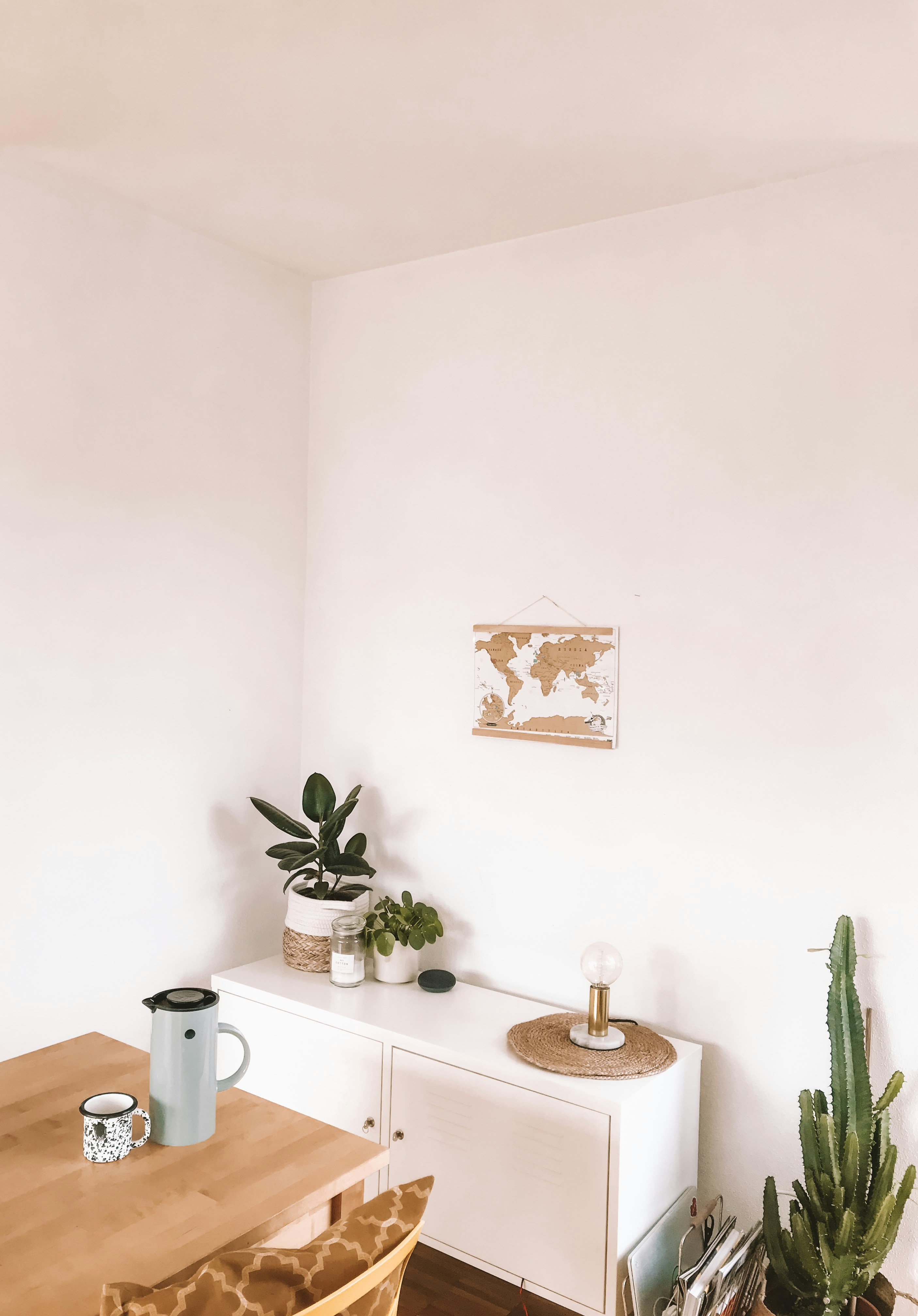 Stylish indoor potty setup in a small apartment