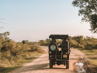 A safari vehicle with a spare tire attached to the back is driving along a dirt road surrounded by lush green vegetation and trees. The sky is clear with a hint of warm sunlight casting shadows on the path.
