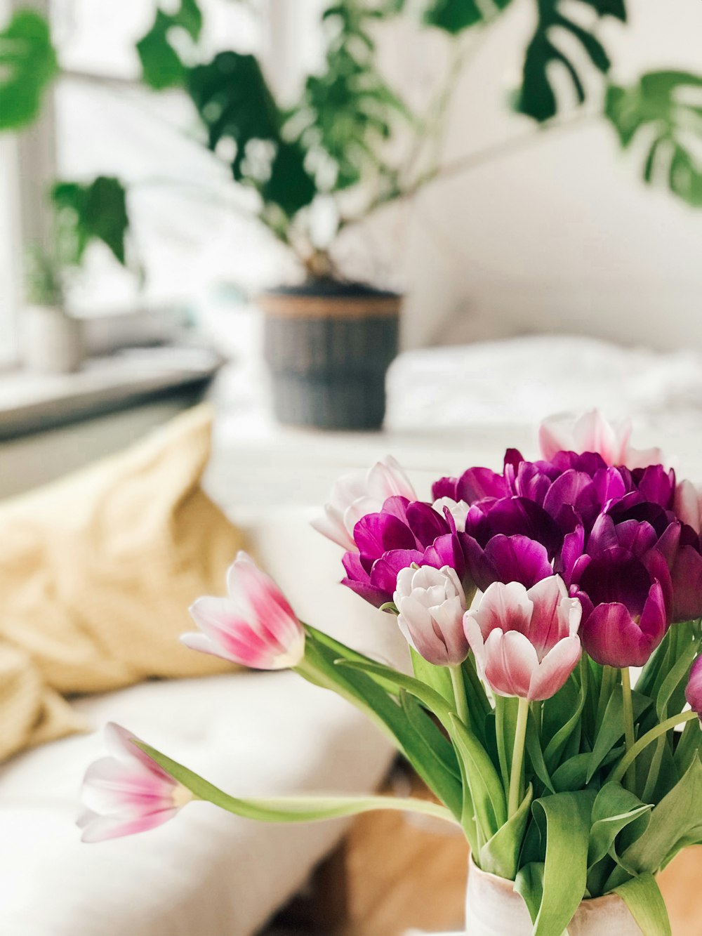 photo of purple and pink flowers