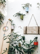 A cozy and artistic wall is adorned with potted plants in various colored containers hanging and placed around. A surfboard with decorative art leans against the wall. A sign with the phrase 'Your vibe attracts your tribe' hangs on a rope. Sunlight casts soft shadows over the scene, adding a peaceful atmosphere.