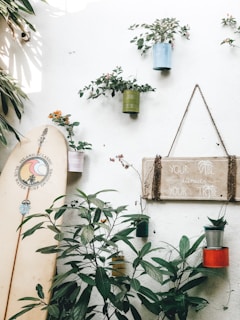 A cozy and artistic wall is adorned with potted plants in various colored containers hanging and placed around. A surfboard with decorative art leans against the wall. A sign with the phrase 'Your vibe attracts your tribe' hangs on a rope. Sunlight casts soft shadows over the scene, adding a peaceful atmosphere.