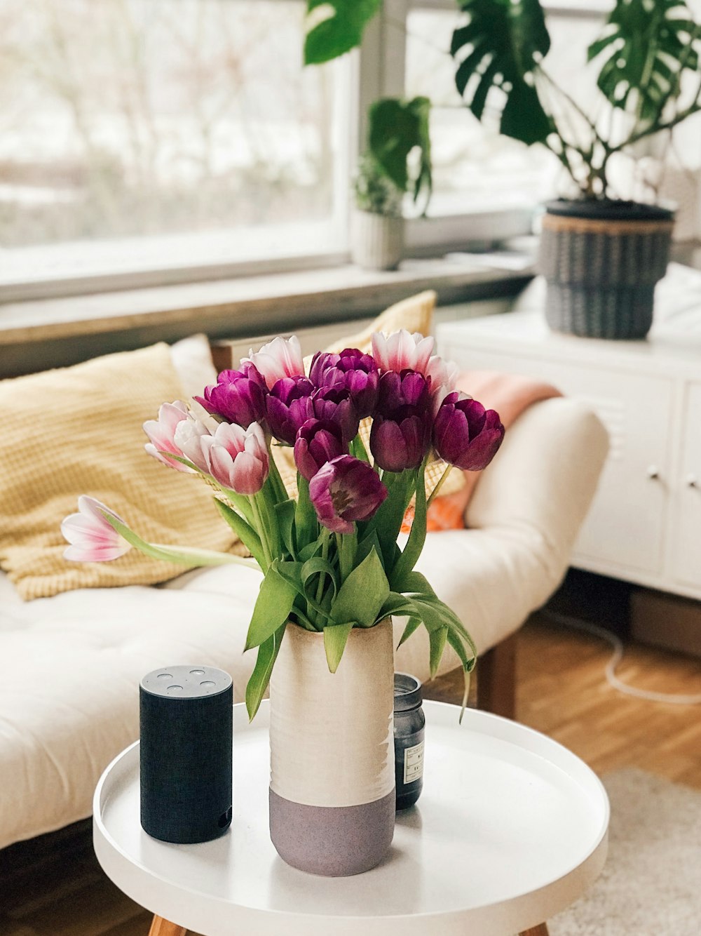 purple and pink petaled flower