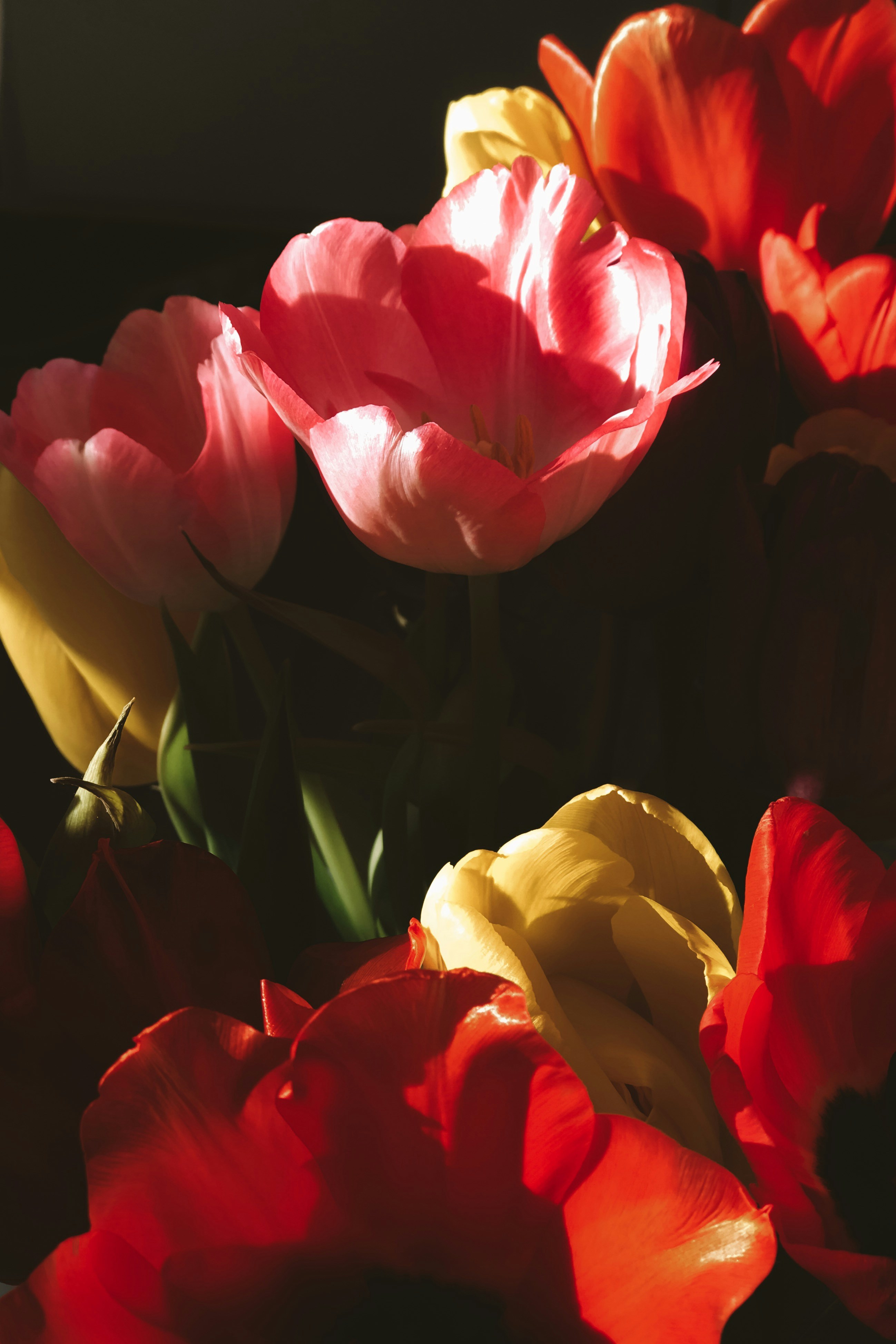 Photo by charlotablunarova