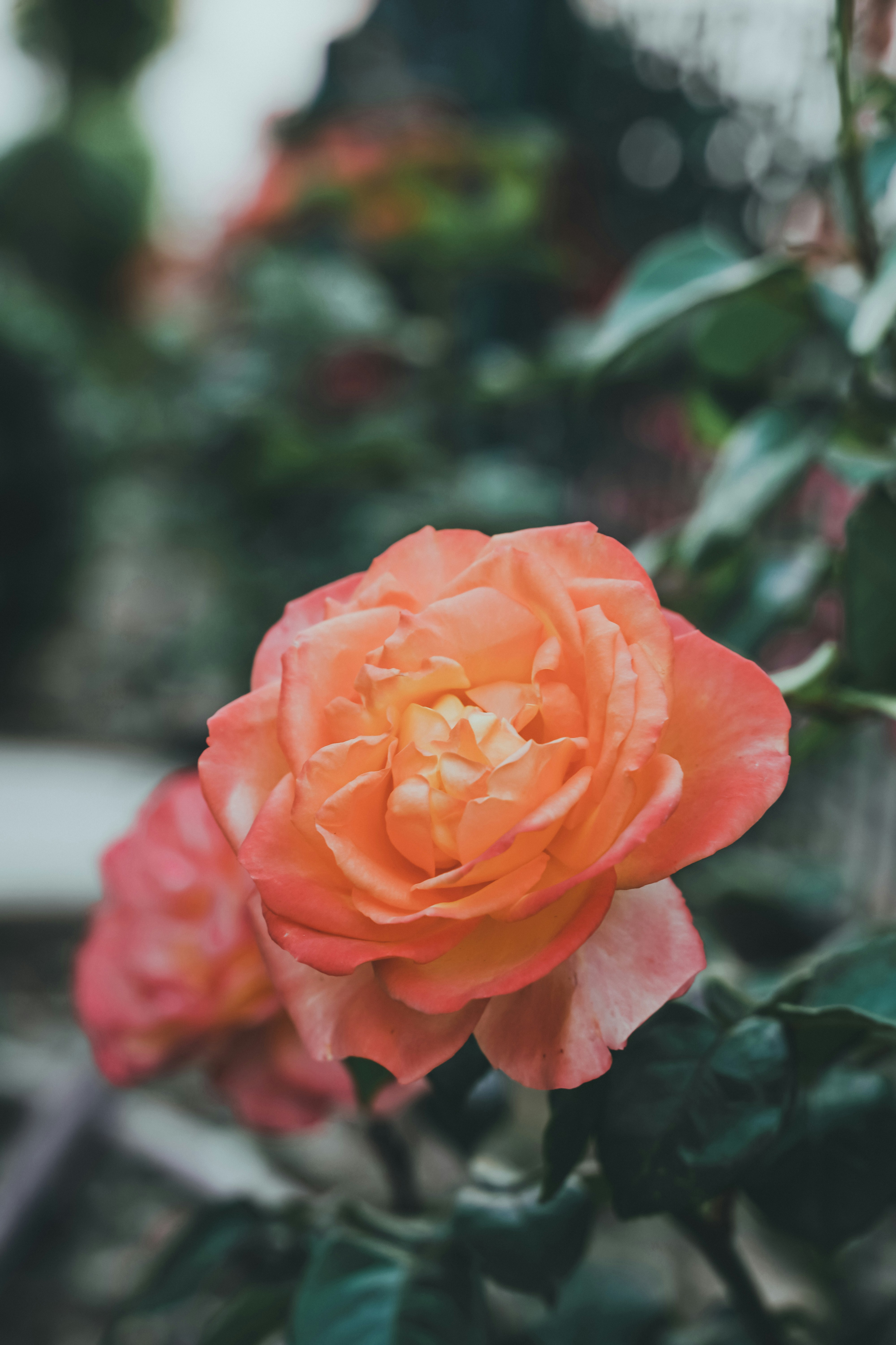 Photo by alexander_tsang