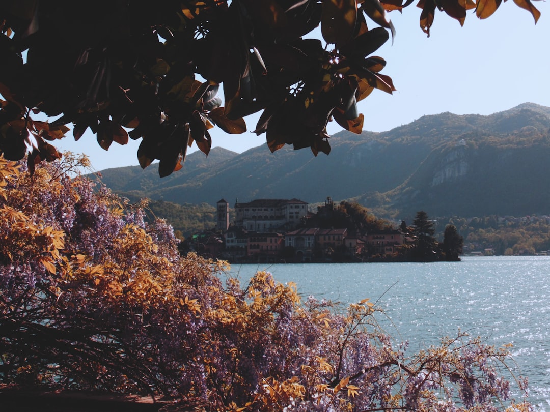 green and brown trees, Orta San Giulio is an Italian town of 1,280 inhabitants in the province of Novara, it is part of the circuit of the most beautiful villages in Italy and is awarded the orange flag by the Italian Touring Club.<p></figure>It is located in the middle of the eastern shore of Lake Orta, at the end of a hilly promontory that slopes down towards the shore, 45 kilometers from the capital Novara.