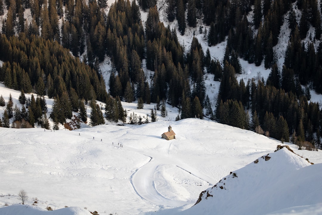 aerial view of brown house on ice covered field