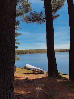 A serene lakeside campsite with a kayak resting on the shore under tall pine trees