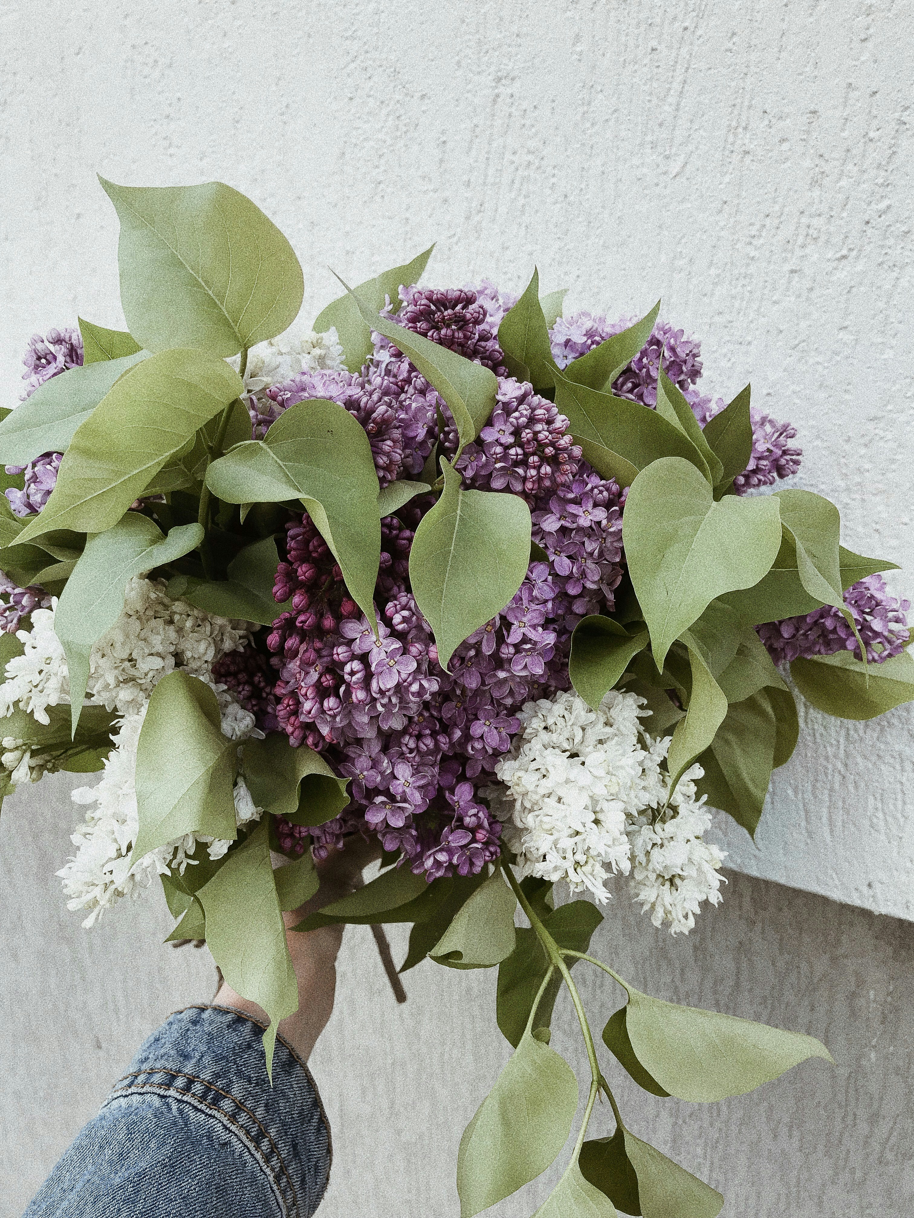 Photo by christina_ch