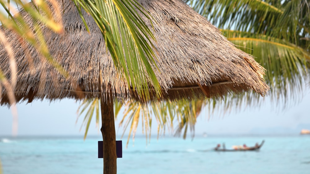 brown cottage near coconut trees