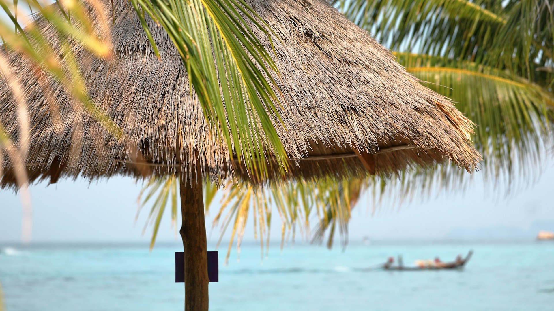 brown cottage near coconut trees