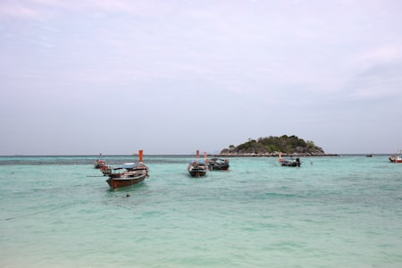 Phi Phi Islands + Maya Bay + Maiton Island Sunset Tour by Catamaran