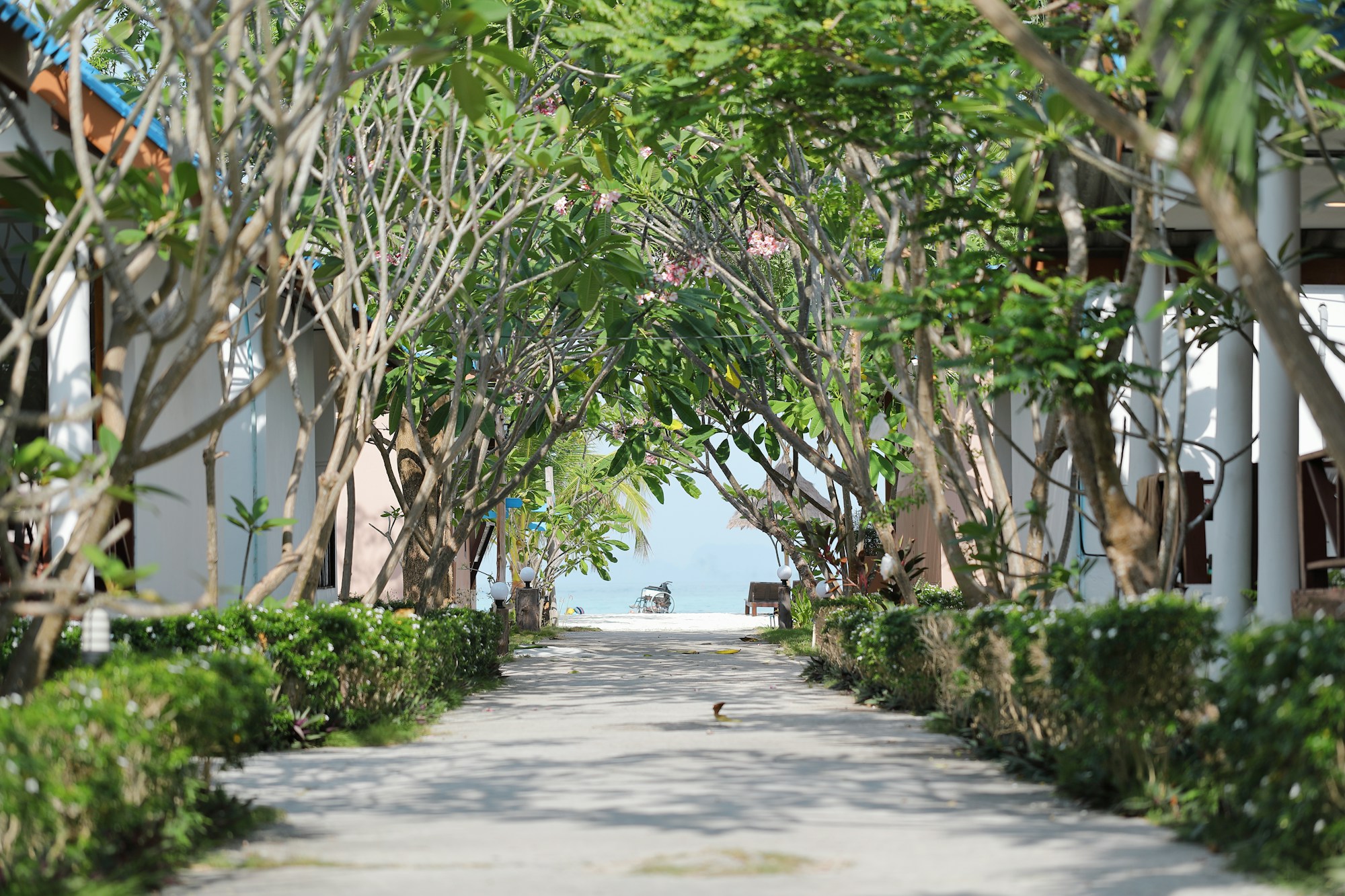What to See in Koh Lipe: Travel Guide & Tips