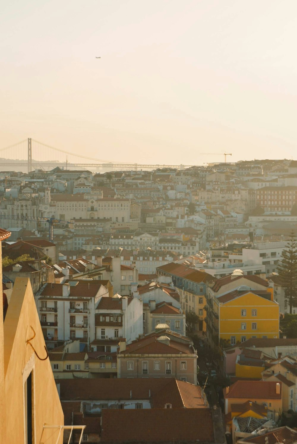 high-angle photography of city during daytime