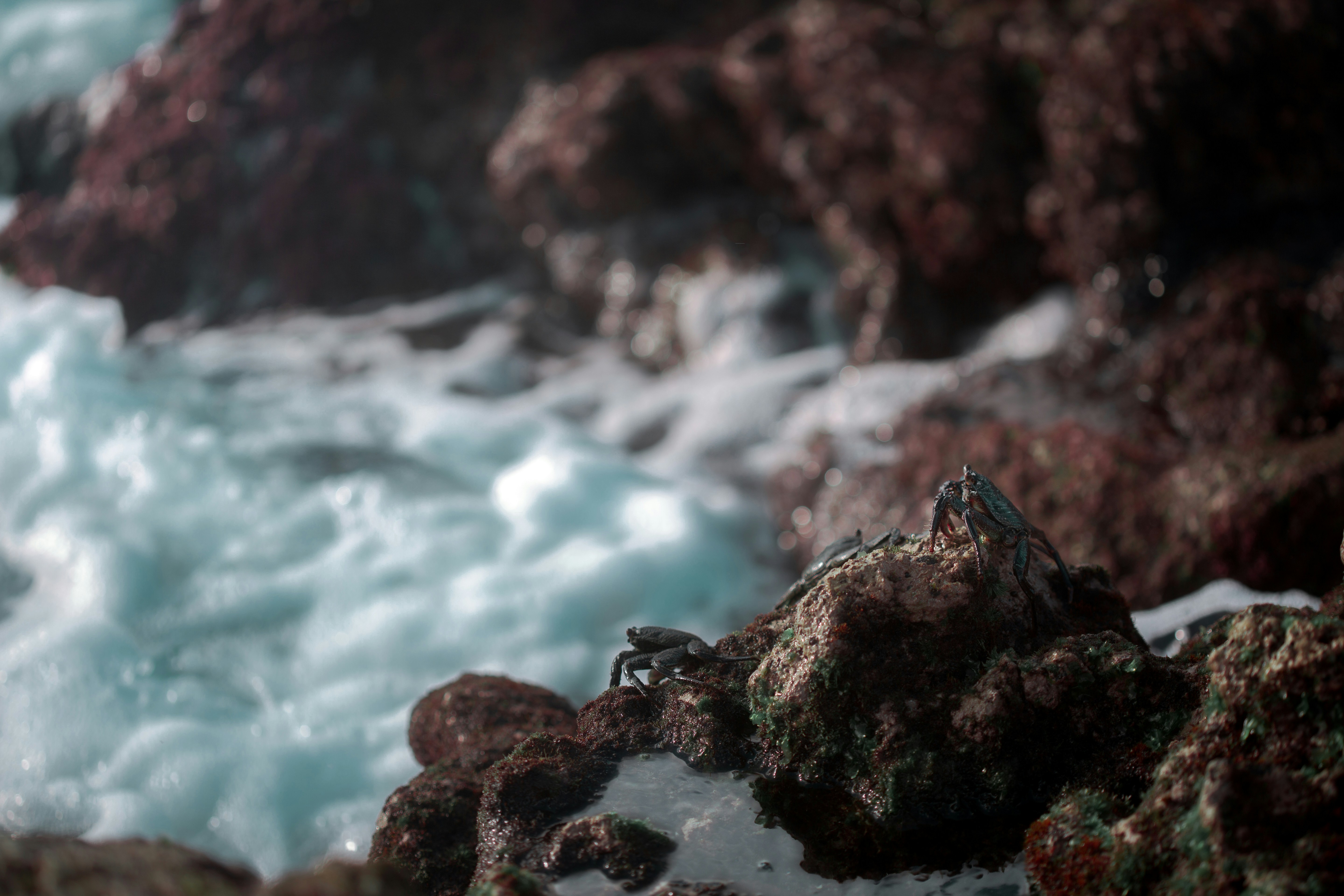 Photo by gregoryjacquet