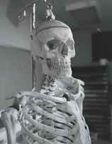 Close-up of a trainer explaining anatomy using a skeletal model during a continuing education course.