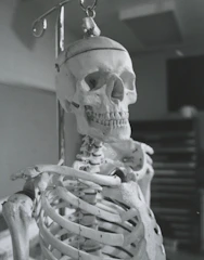 Close-up of a detailed 3D printed anatomical bone model on a medical desk.