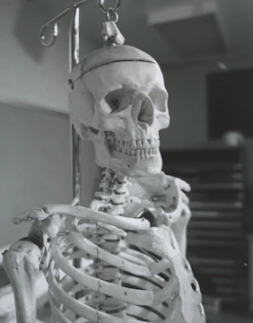 Close-up of a detailed 3D printed anatomical bone model on a medical desk.