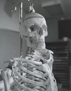Sistema Respiratorio