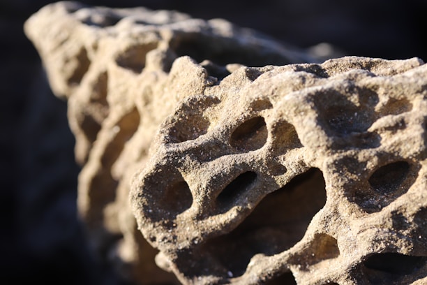 A close-up image of a porous rock structure with various irregular holes and textures. The rock's surface appears to be weathered and has a beige to light brown coloration. The lighting highlights the textures and depth of the holes, giving a detailed view of the rock's intricate pattern.