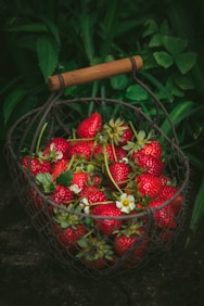 strawberries in metal basket