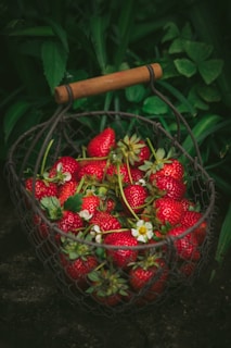strawberries in metal basket