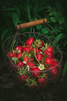 strawberries in metal basket