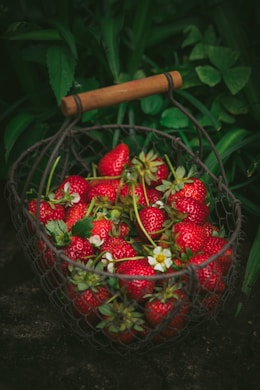 strawberries in metal basket