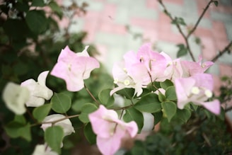 Delicate blush pink floral arch framing a soft ivory background with subtle green pastel leaves.