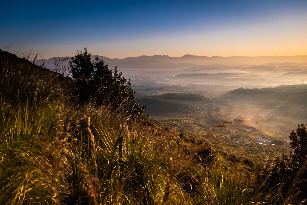 grass and mountains during golden hour