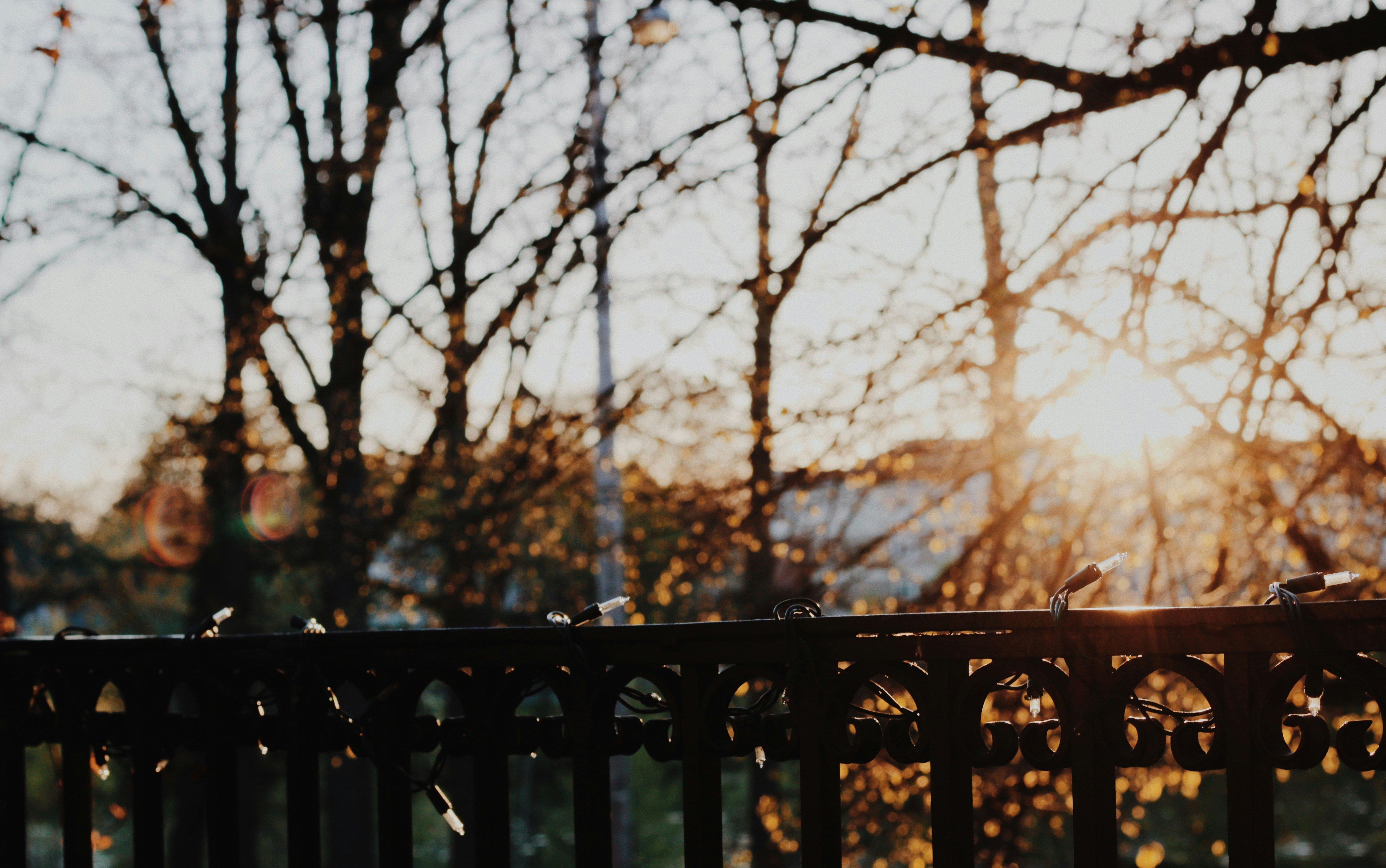 Photo by yassine_khalfalli