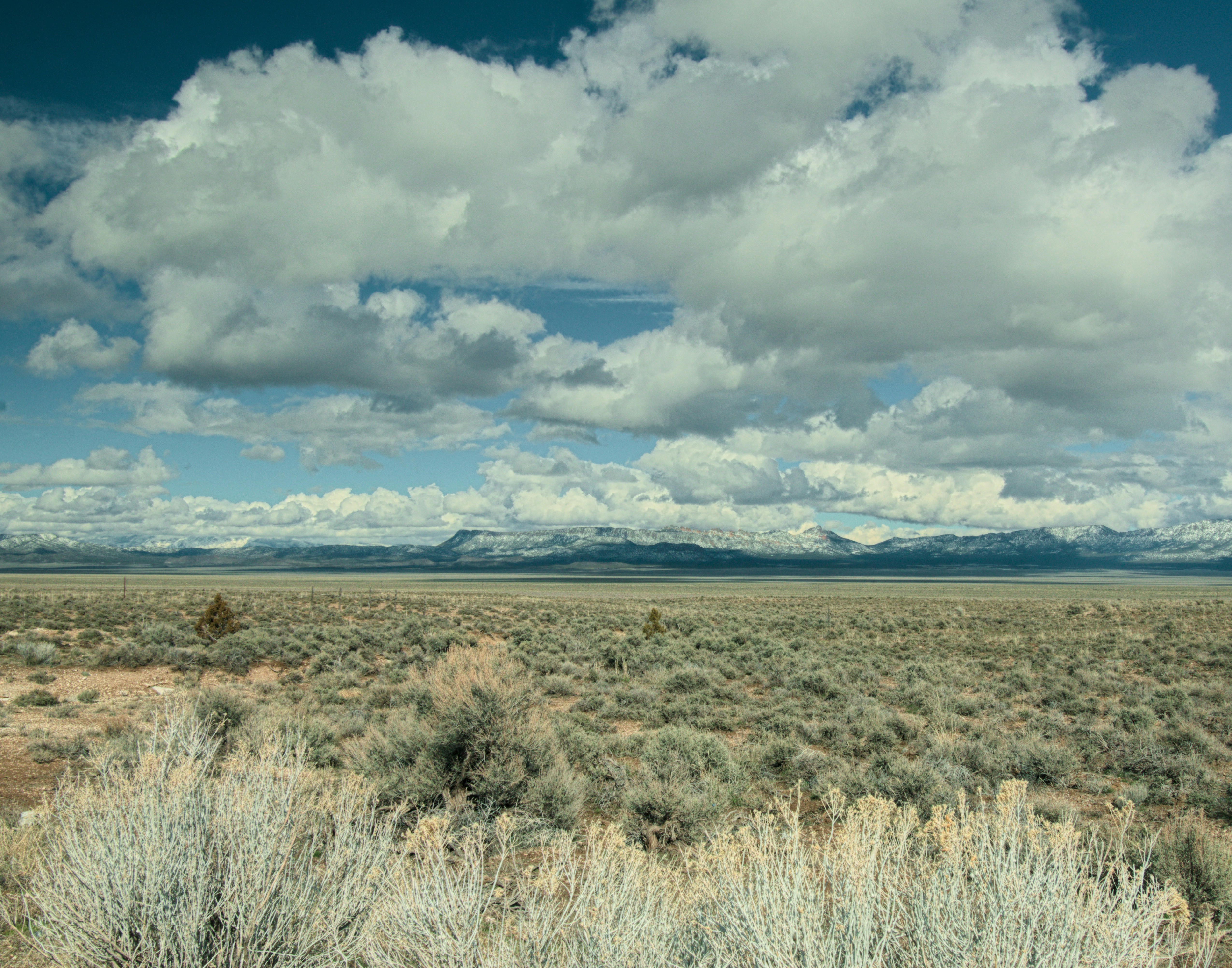 Photo by photerrestrial