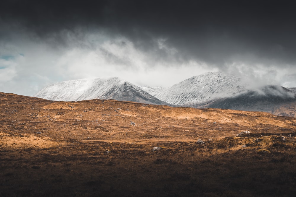 glacier mountain and brown field