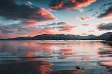 body of water near island