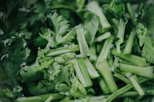 Fresh Coriander