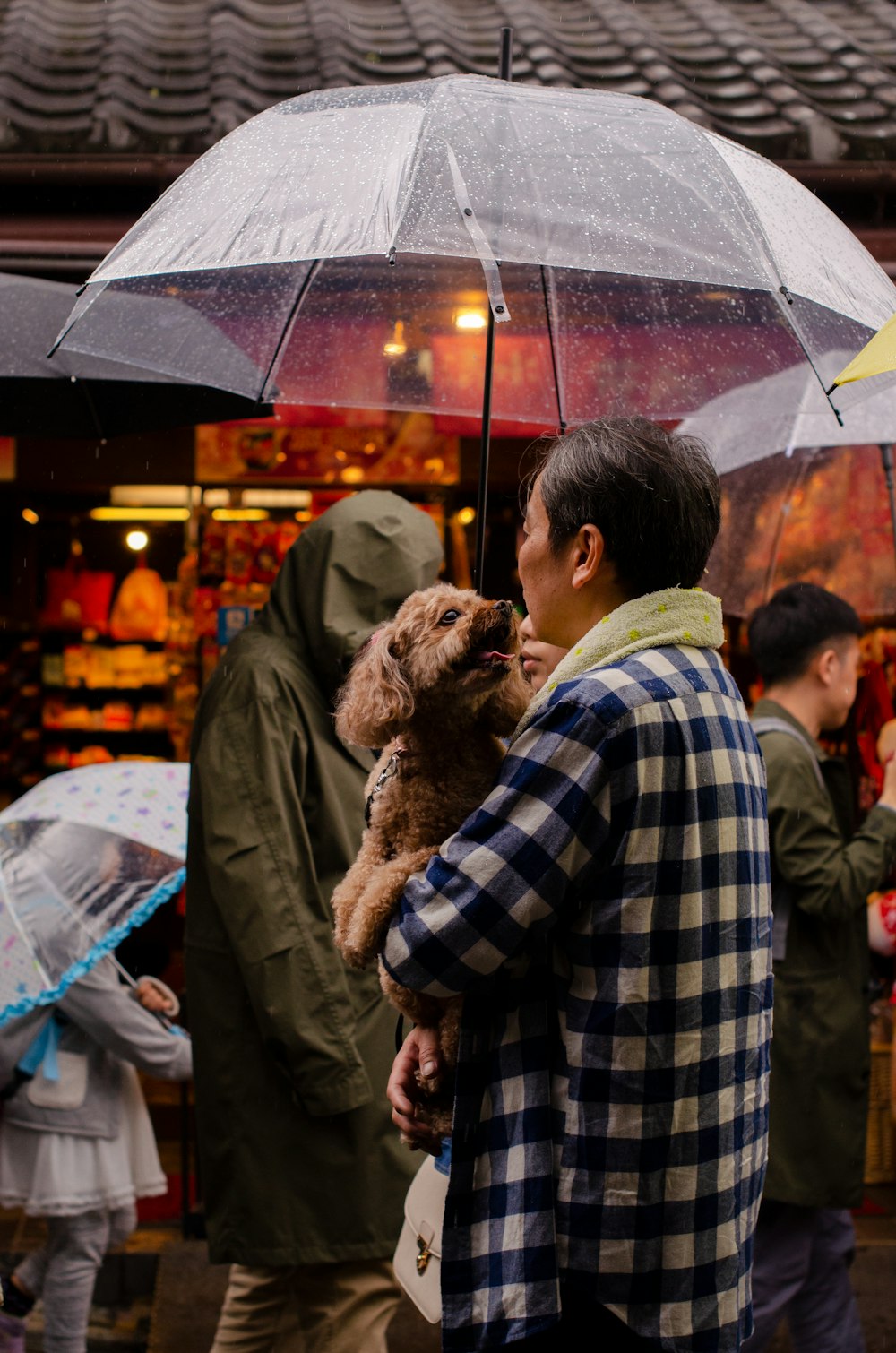 person holding a dog and umbrella during daytime