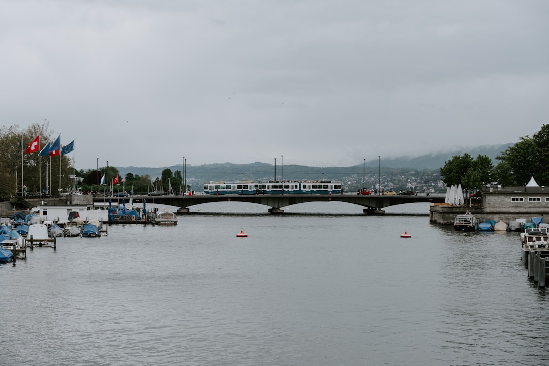 boats and vehicles near concrete bridge