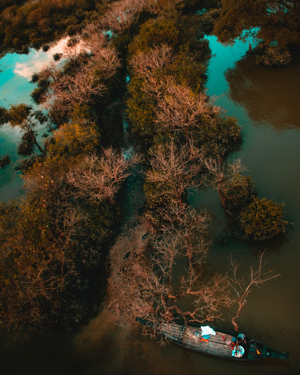 boat on body of water near trees