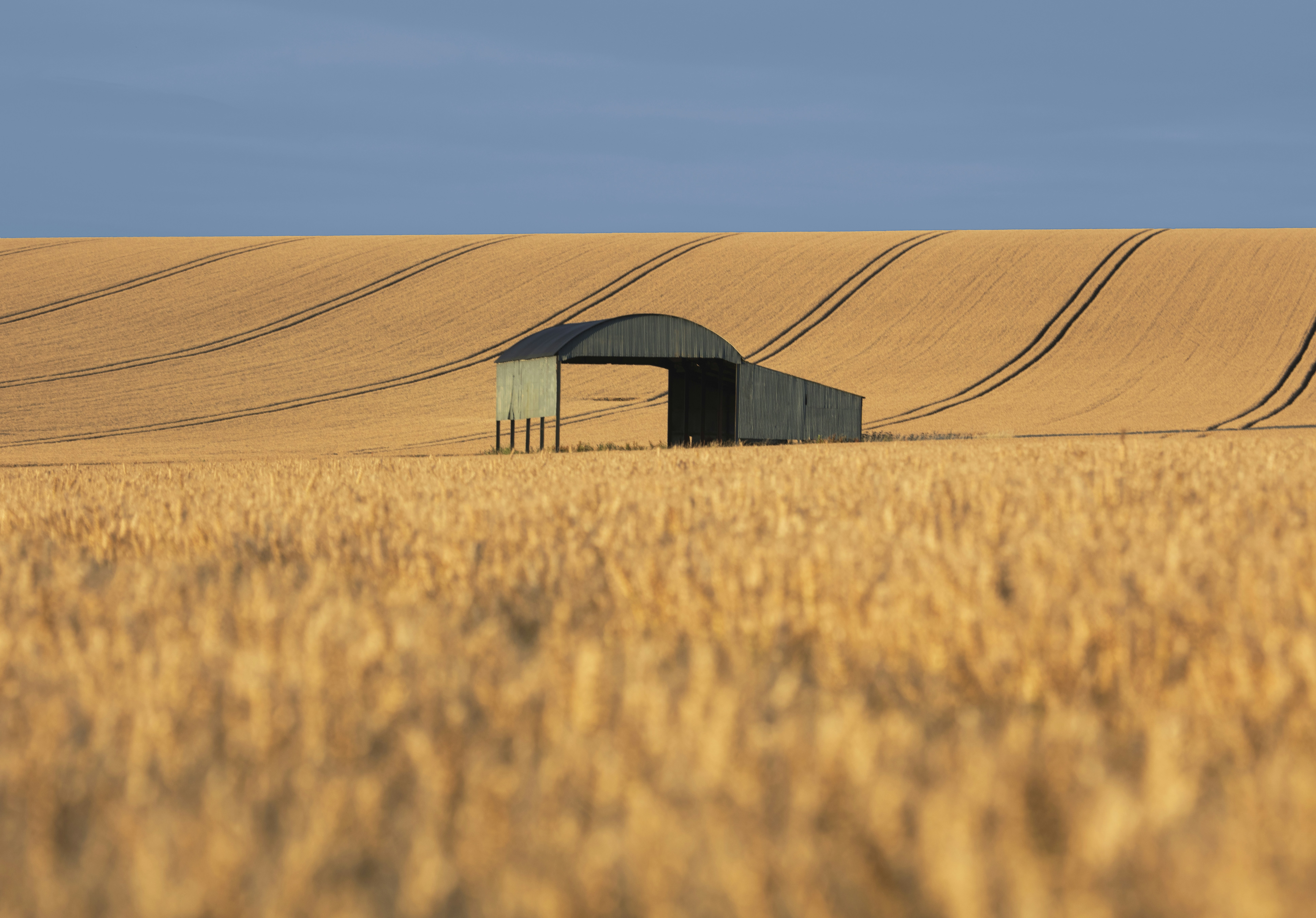 black canopy on desert