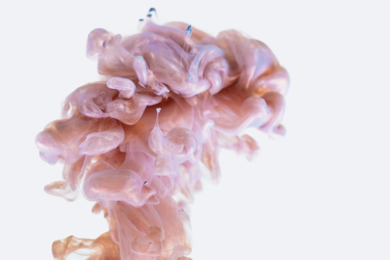 Intestine