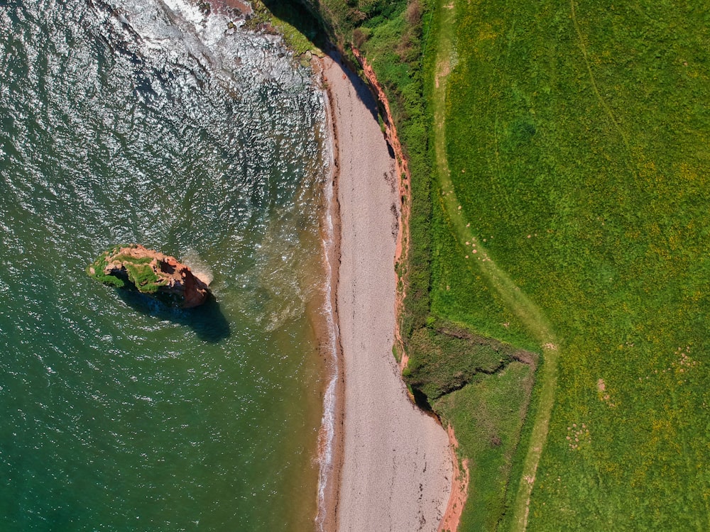 pathway near body of water